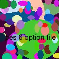 pes 6 option file 1.0